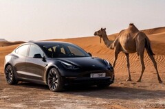 Naast de populaire Tesla Model Y werd ook de Model 3 getest in extreem warme omstandigheden (Afbeelding: Tesla)