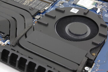 Fans pulseren minder vaak dan op Omen 17 van vorig jaar