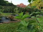 Redmi Note 13 5G: Hoofdcamera 108 MP