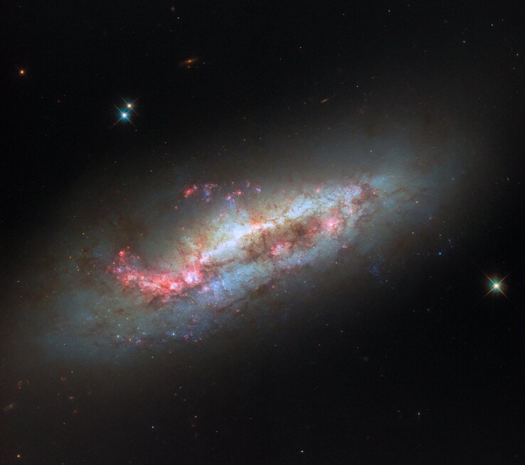 Hubble-opname van NGC 1151 (Afbeeldingsbron: ESA/Hubble, NASA en D. Thilker)