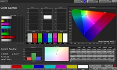 CalMAN Kleurengamma sRGB