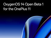 OnePlus biedt nu Android 14 in bètavorm aan voor de OnePlus 11. (Afbeelding bron: OnePlus)