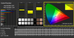 CalMAN - Color Checker (gekalibreerd)