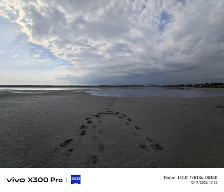 Vivo X300 Pro: Foto voorbeeld