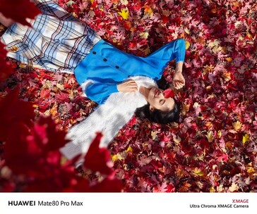 (Afbeeldingsbron: Huawei)