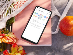 De batterijverslindende update wordt nu geforceerd geïnstalleerd op de overgebleven Pixel 4a houders. Afgebeeld: de telefoon. (Afbeeldingsbron: Google)