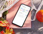 De batterijverslindende update wordt nu geforceerd geïnstalleerd op de overgebleven Pixel 4a houders. Afgebeeld: de telefoon. (Afbeeldingsbron: Google)