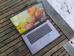 In review: Huawei MateBook D 15 Intel (2021), beschikbaar gesteld door Huawei Duitsland.