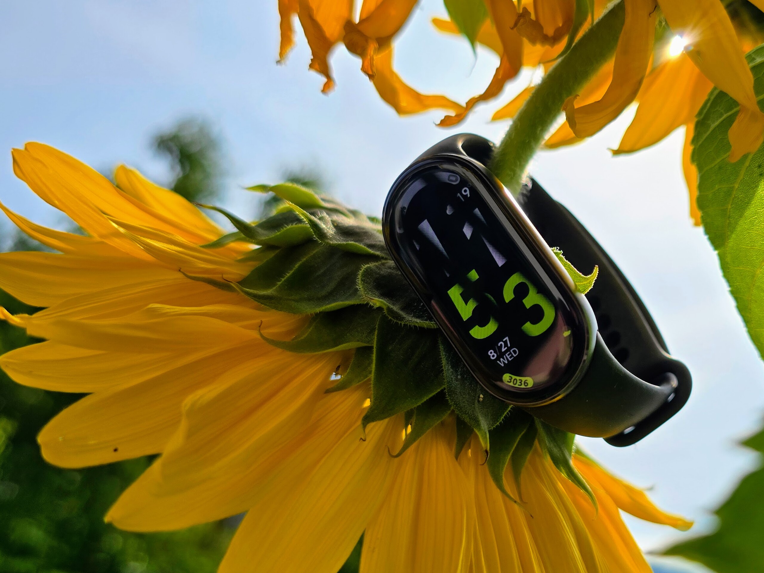 In de test: Xiaomi Smart Band 10