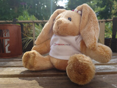 Sony Xperia 1 VII: Voorbeeldfoto