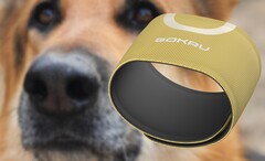 De op de hondenneus geïnspireerde draagbare sensor Sokru detecteert vluchtige organische stoffen. (Beeldbron: Lakka/Unsplash - bewerkt)