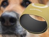De op de hondenneus geïnspireerde draagbare sensor Sokru detecteert vluchtige organische stoffen. (Beeldbron: Lakka/Unsplash - bewerkt)