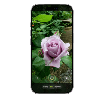 Siri zal voor het eerst in de Camera-app worden ingebouwd, waarbij visuele intelligentie wordt geïntegreerd voor het identificeren van objecten via externe AI-diensten zoals Google en ChatGPT, aldus het lek.