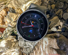 Samsung Display levert beeldschermen voor Apple en Samsung smartwatches. (Beeldbron: NotebookCheck)