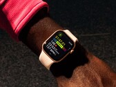 De batterijduur van de Apple Watch Series 11 zal waarschijnlijk niet veel langer zijn dan die van de Series 10. (Afbeeldingsbron: Apple)