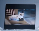 De Vivo X Fold5 werkt naar verluidt goed samen met de Apple Watch en ook met iPhones, MacBooks en iCloud. (Afbeeldingsbron: Vivo)