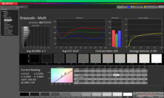 Grijswaarden vóór kalibratie