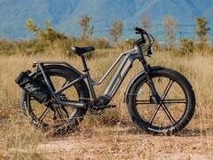 De Fiido Titan e-bike is nu wereldwijd te pre-orderen. (Afbeeldingsbron: Fiido)