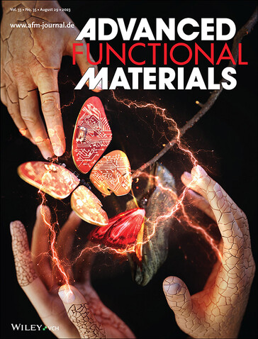 SK On's lithium dendrite-bestrijdende uitvinding haalde de cover van het tijdschrift Advanced Functional Materials