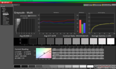 Grijswaarden vóór kalibratie (sRGB)