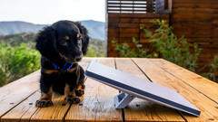 SpaceX werkt aan een nieuwe Starlink Mini schotelgeneratie (Afbeeldingsbron: Michael Nicolls/X)