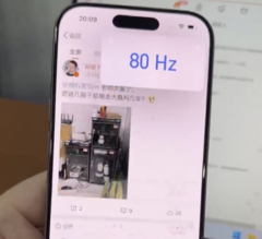 Mensen klaagden al voor iOS 18 over het '80 Hz'-fenomeen van de iPhone. (Afbeeldingsbron: @UniverseIce)