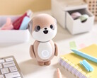 De Sharp Poketomo chatrobot is een dagelijkse AI metgezel die u leert kennen en reageert met gepersonaliseerde gesprekken. (Afbeeldingsbron: Sharp)