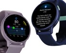 Dagelijks overzicht, Rustmeldingen en Stressmeldingen zijn al beschikbaar voor de Vivoactive 5 (hierboven). (Afbeelding bron: Garmin).