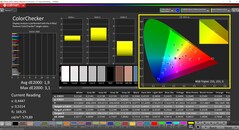 CalMAN ColorChecker (profiel: Native, doelkleurruimte: P3)