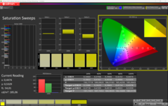 CalMAN verzadiging (profiel: P3)