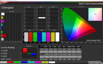 CalMAN: Colour Space – Natural profile: sRGB-kleurruimte