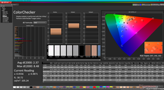 ColorChecker (DCI-P3 instelling)