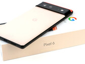 Google Pixel 6 en Pixel 6 Pro maken gebruik van de eigen Tensor SoC van het bedrijf. (Bron: Notebookcheck)