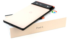 Google Pixel 6 en Pixel 6 Pro maken gebruik van de eigen Tensor SoC van het bedrijf. (Bron: Notebookcheck)