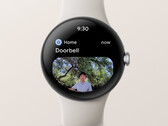 De Google Home-app kan nu meldingen tonen met afbeeldingen van Nest videodeurbellen op sommige Wear OS 3 smartwatches. (Beeldbron: Google)