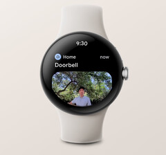 De Google Home-app kan nu meldingen tonen met afbeeldingen van Nest videodeurbellen op sommige Wear OS 3 smartwatches. (Beeldbron: Google)