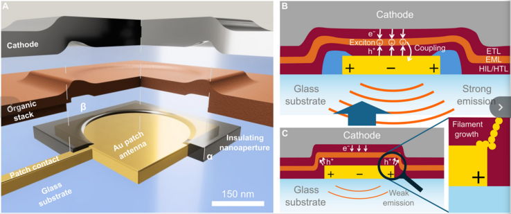 (Afbeelding Bron: Science.org)
