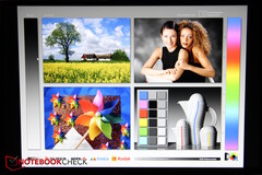 Directe weergave