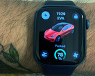 Tesla's Apple Watch app is uit met enkele basisfuncties (Afbeeldingsbron: Ryan Anderson/X)