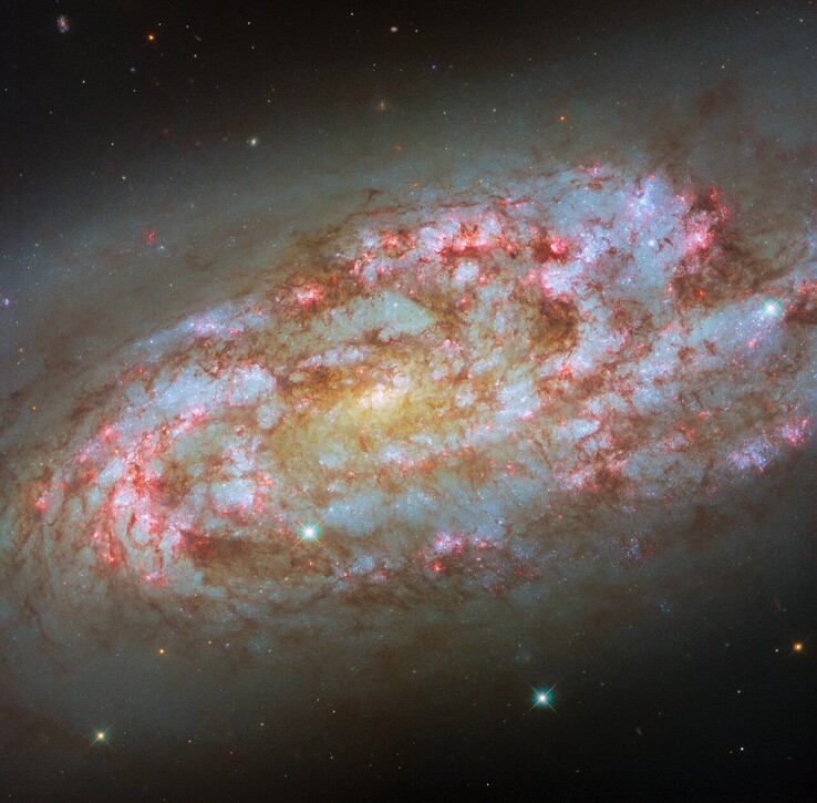 Hubble-opname van NGC 1792 (Afbeeldingsbron: ESA/Hubble, NASA, D. Thilker, F. Belfiore, J. Lee, en het PHANGS-HST Team)