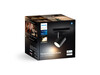 (Afbeeldingsbron: Philips Hue)