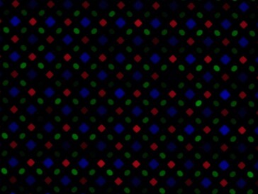 Galaxy S24 Ultra subpixel array bij 10% helderheid. (Bron: erodeloeht op Reddit)