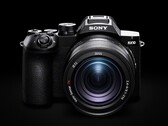 De Sony RX10 V beschikt over een 25x optische zoom.