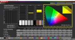 CalMAN ColorChecker (profiel: P3, doelkleurruimte: P3)