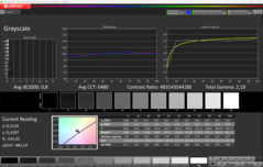 CalMAN grijstinten (na kalibratie)