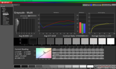 Grijswaarden vóór kalibratie
