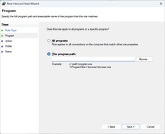 Voer het bestandspad van UplayWebCore.exe in