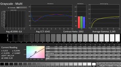 CalMAN: Grijswaarden (gekalibreerd)