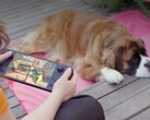 Veel gamers geven nog steeds de voorkeur aan het Steam Deck, ondanks de zwakkere hardware.