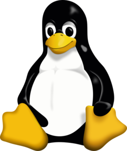 Tux, de mascotte van Linux. (Afbeeldingsbron: Wikimedia Commons)